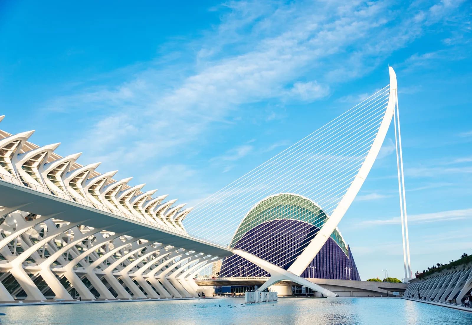 Explore the futuristic architecture of Valencia's City of Arts and Sciences on a bright day.